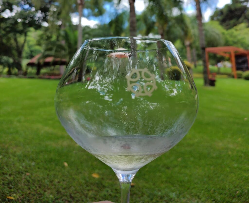 enoturismo na serra gaucha