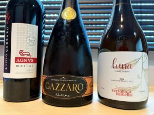 Leia mais sobre o artigo 3 Vinhos da Serra Gaúcha que Você Precisa Conhecer