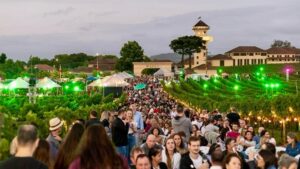 Leia mais sobre o artigo Natal nos Vinhedos 2025: A magia da Serra Gaúcha encontra o espírito natalino