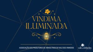 Leia mais sobre o artigo Vindima Iluminada: O Brilho da Colheita no Coração do Vale dos Vinhedos