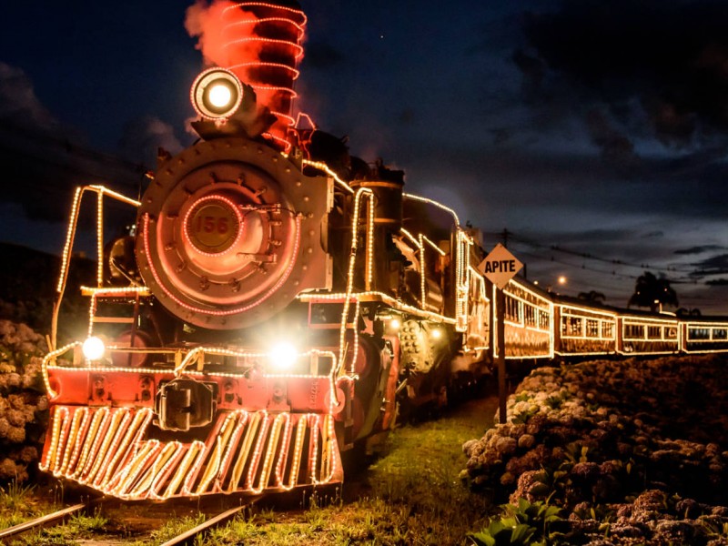 No momento, você está visualizando Natal Sobre Trilhos em Bento Gonçalves: A Magia da Serra Gaúcha a Bordo da Maria Fumaça
